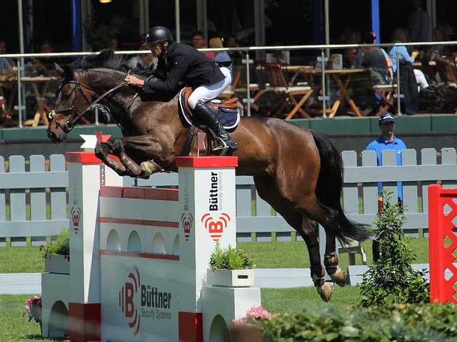 成為了必須 成為了必須