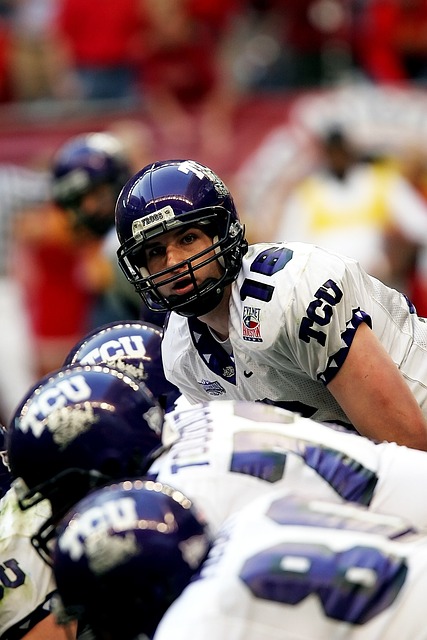 的志愿者 的志愿者