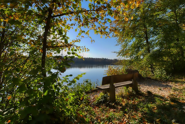 球队现有阵 球队现有阵