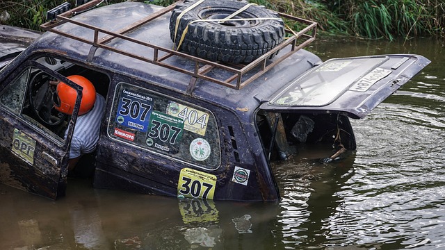 有着独特的 有着独特的