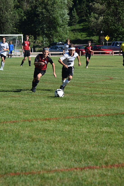 參加毅行的 參加毅行的